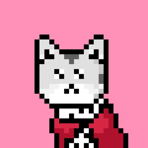 Solana Strays #12