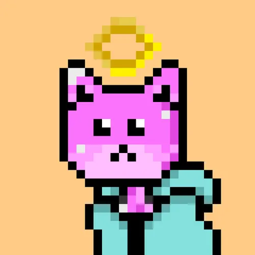 Solana Strays #13