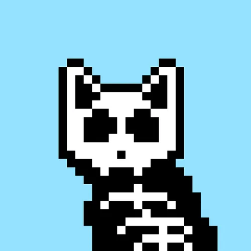 Solana Strays #143