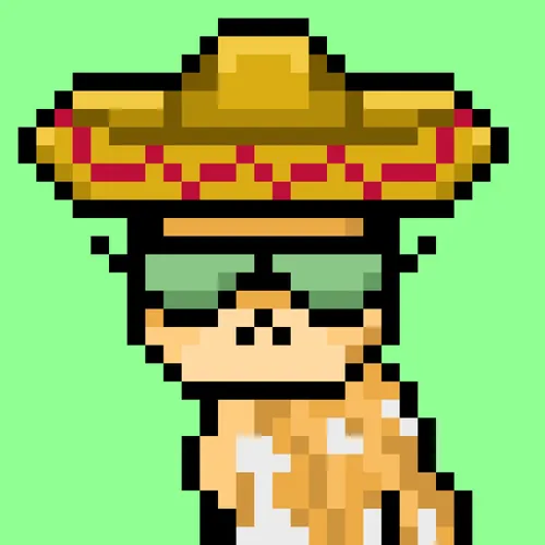 Solana Strays #147