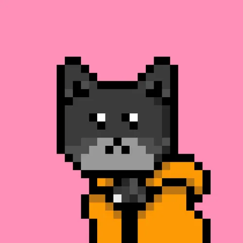 Solana Strays #15