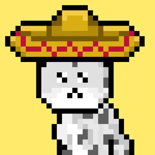 Solana Strays #151