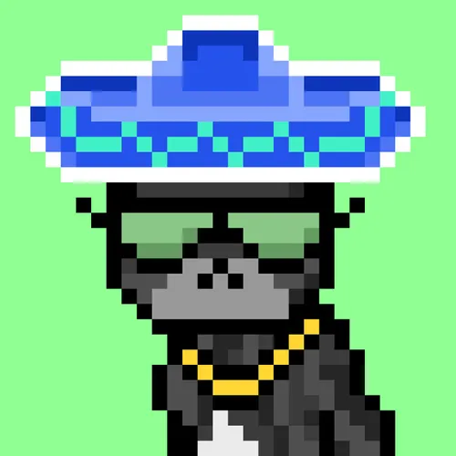 Solana Strays #165