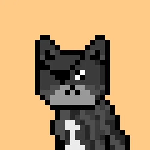 Solana Strays #17
