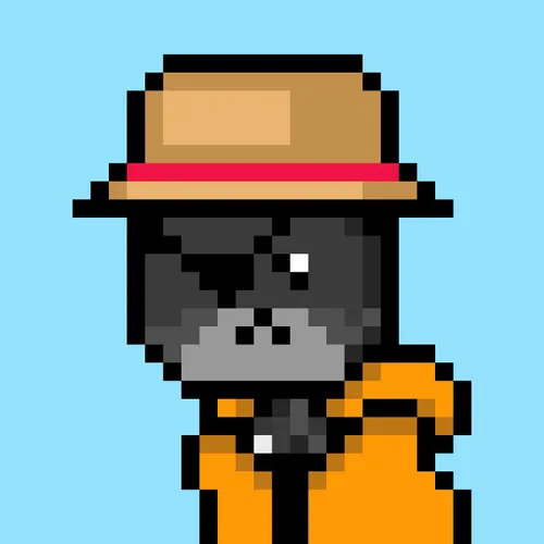 Solana Strays #183
