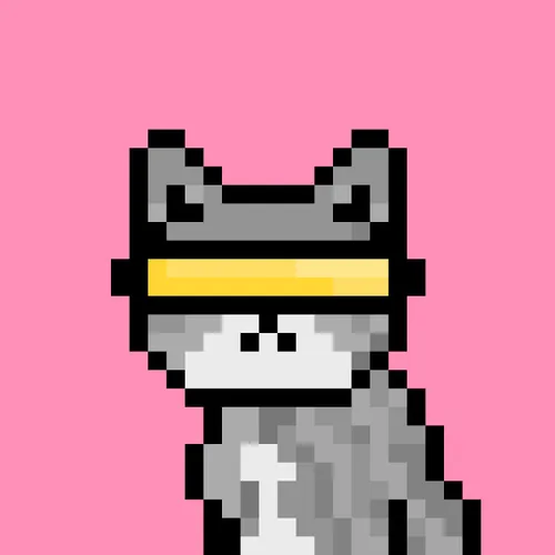 Solana Strays #185