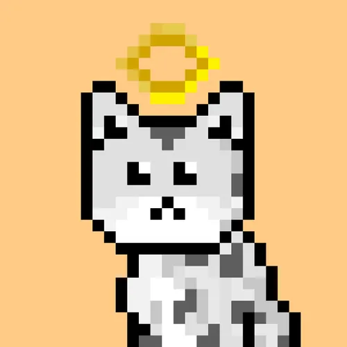 Solana Strays #19