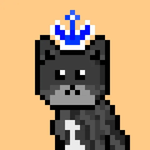 Solana Strays #192