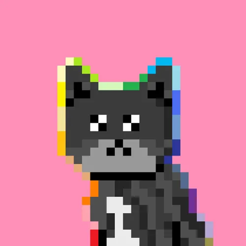Solana Strays #195