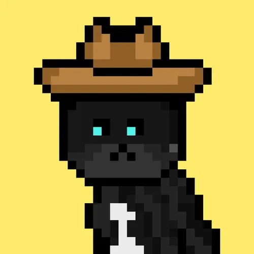 Solana Strays #196