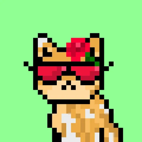 Solana Strays #226