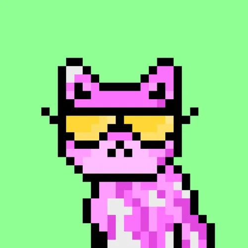 Solana Strays #228