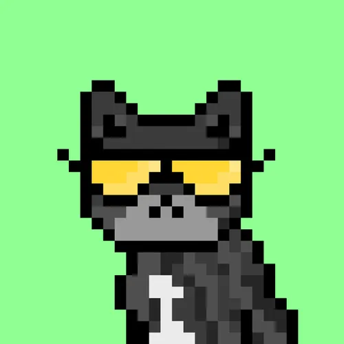 Solana Strays #241