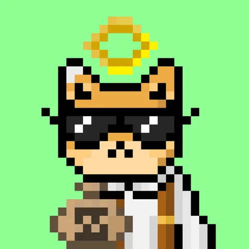 Solana Strays #25