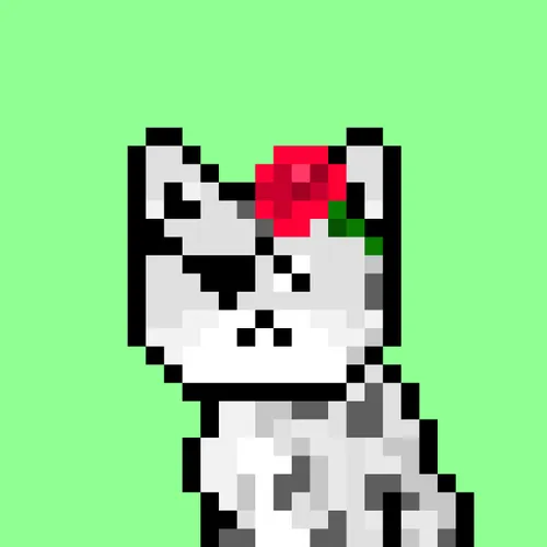 Solana Strays #252