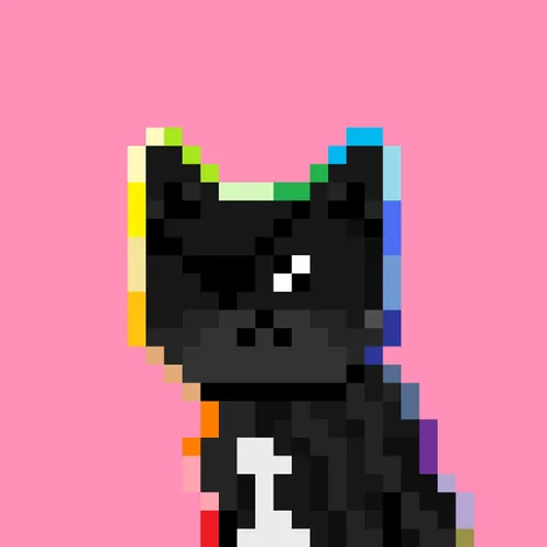 Solana Strays #270