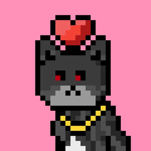 Solana Strays #272