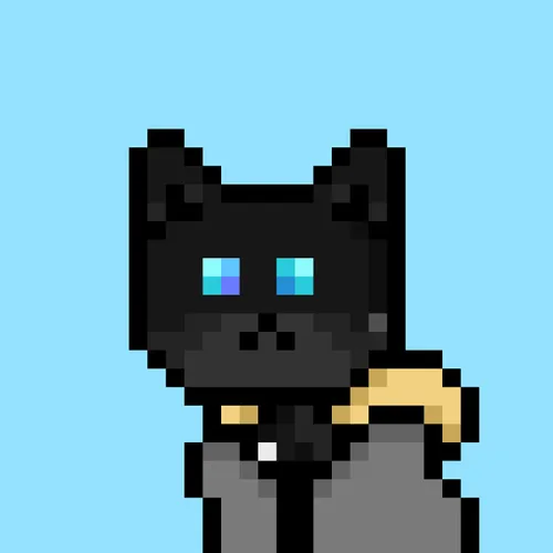 Solana Strays #287