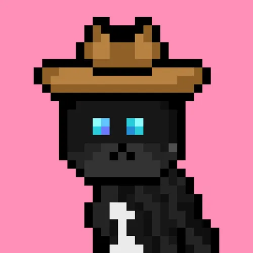Solana Strays #294