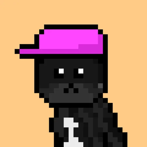 Solana Strays #353