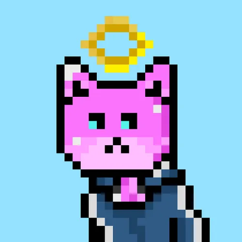 Solana Strays #357