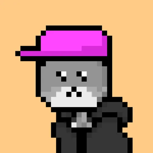 Solana Strays #359