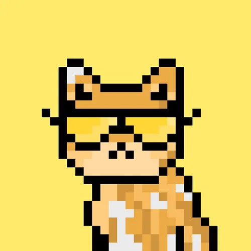 Solana Strays #429