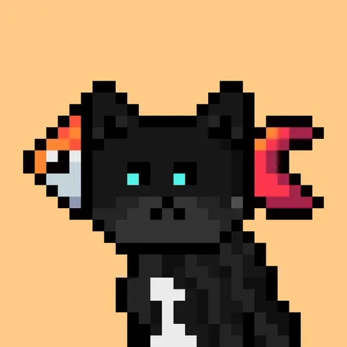 Solana Strays #440