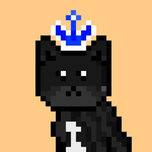 Solana Strays #443