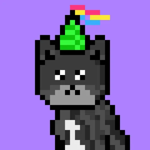 Solana Strays #485