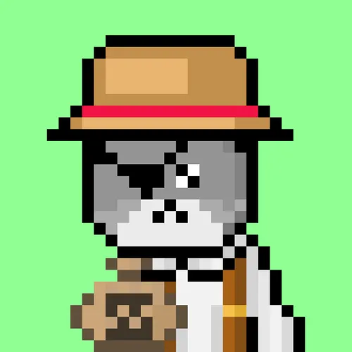 Solana Strays #54