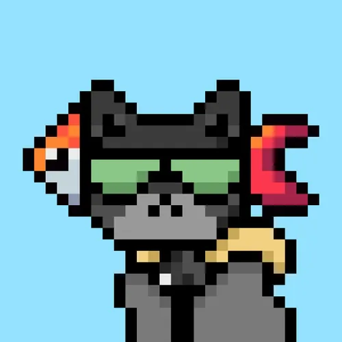 Solana Strays #578