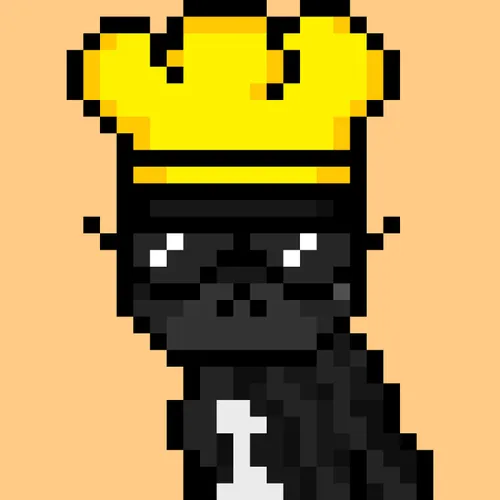 Solana Strays #584
