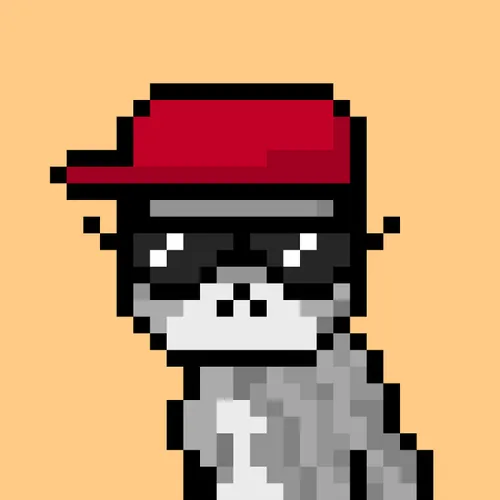 Solana Strays #63