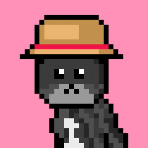 Solana Strays #67