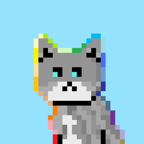 Solana Strays #685