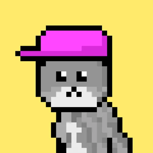 Solana Strays #73