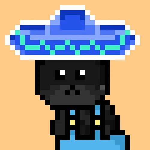 Solana Strays #746