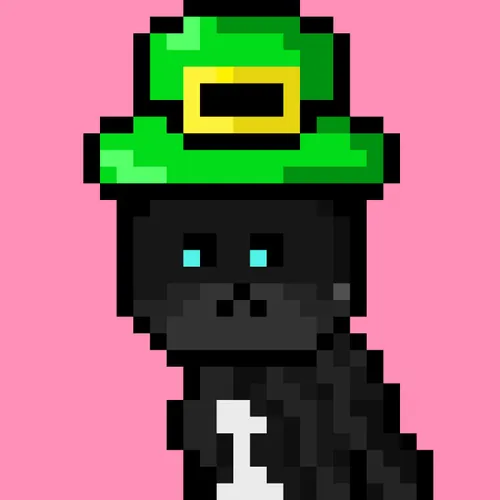 Solana Strays #75