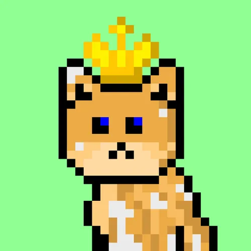 Solana Strays #8
