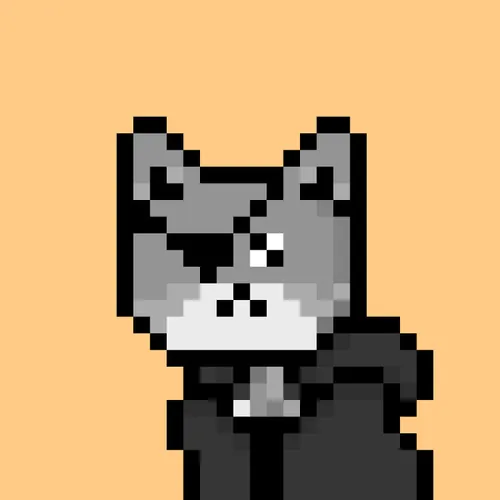 Solana Strays #80