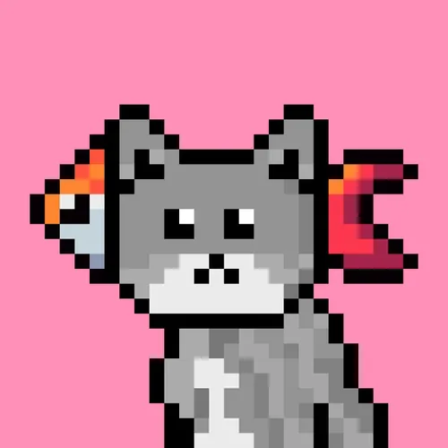 Solana Strays #855