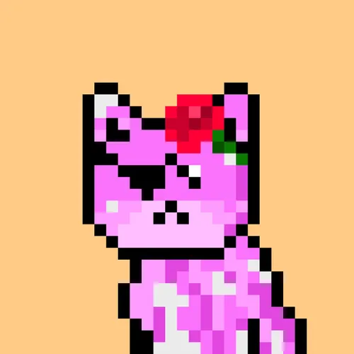Solana Strays #88
