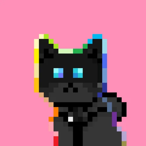 Solana Strays #885