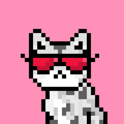 Solana Strays #99